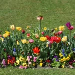 Come creare un’aiuola perfetta? I consigli per ogni stagione
