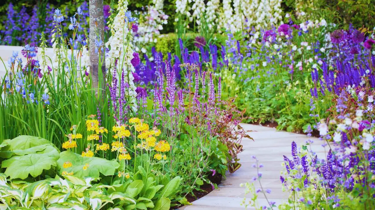 Come si crea una bordura fiorita? Le piante giuste da abbinare