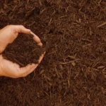 Qual è il miglior pacciame da usare? I materiali naturali più indicati